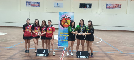 Campeonato de Equipas Sub-13 e Sub-17 de São Miguel